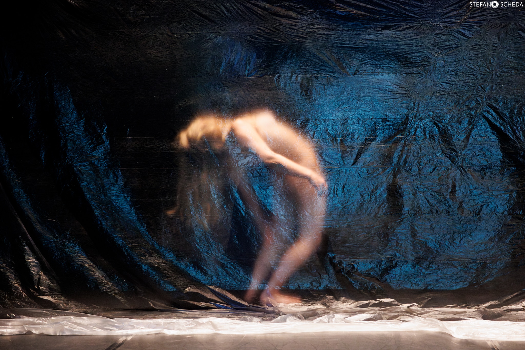 immagine di progetto "ANFIBIA" 1