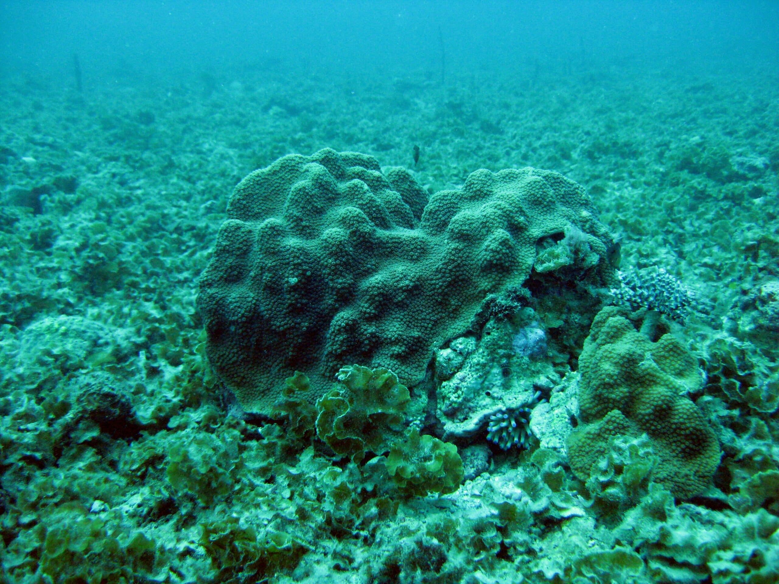 Tutelare la culla della vita