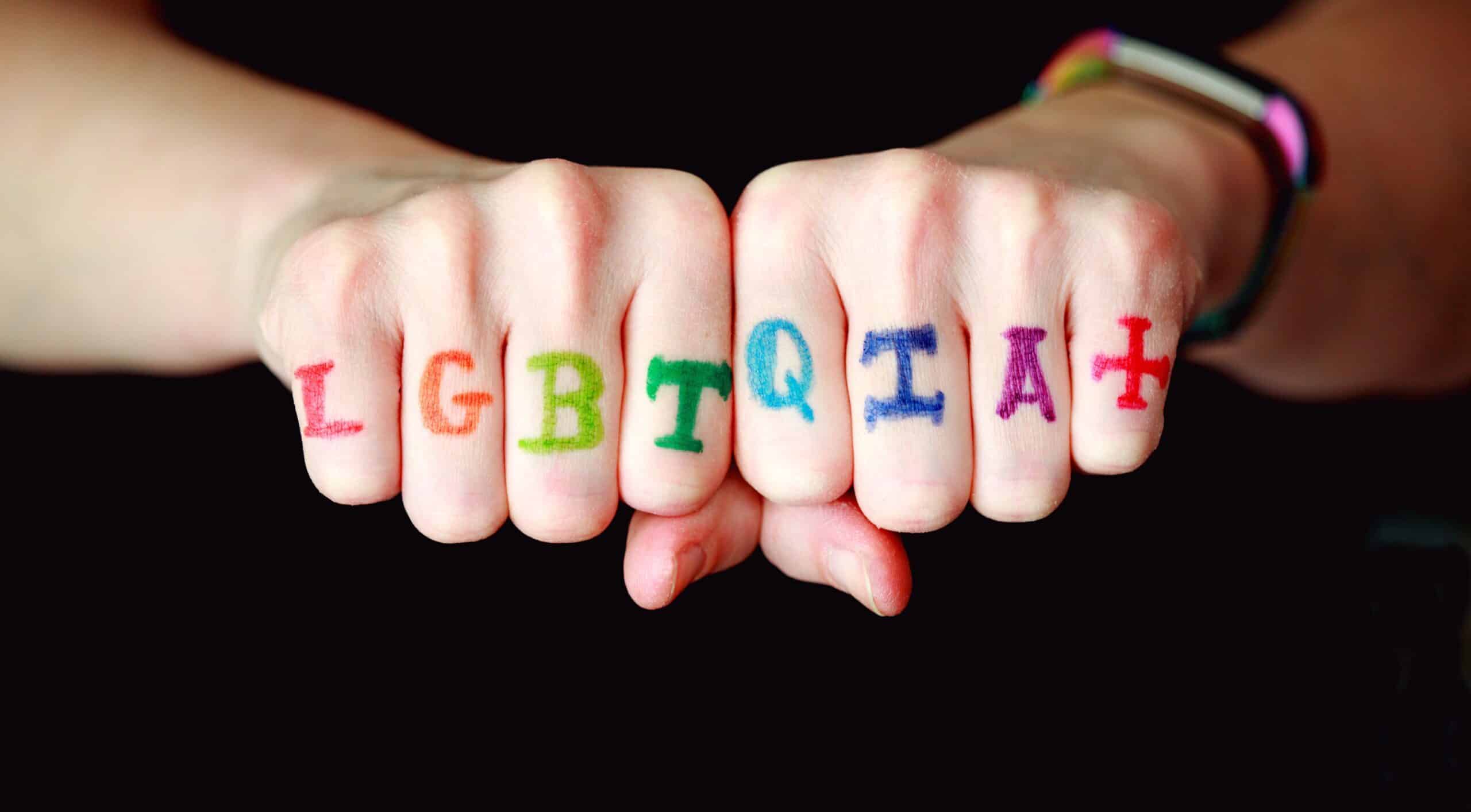 immagine di progetto "REFUGE LGBT+ e Co-Housing LGBT+ - SOSTEGNO ALLE VITTIME DI VIOLENZA FAMILIARE" 4